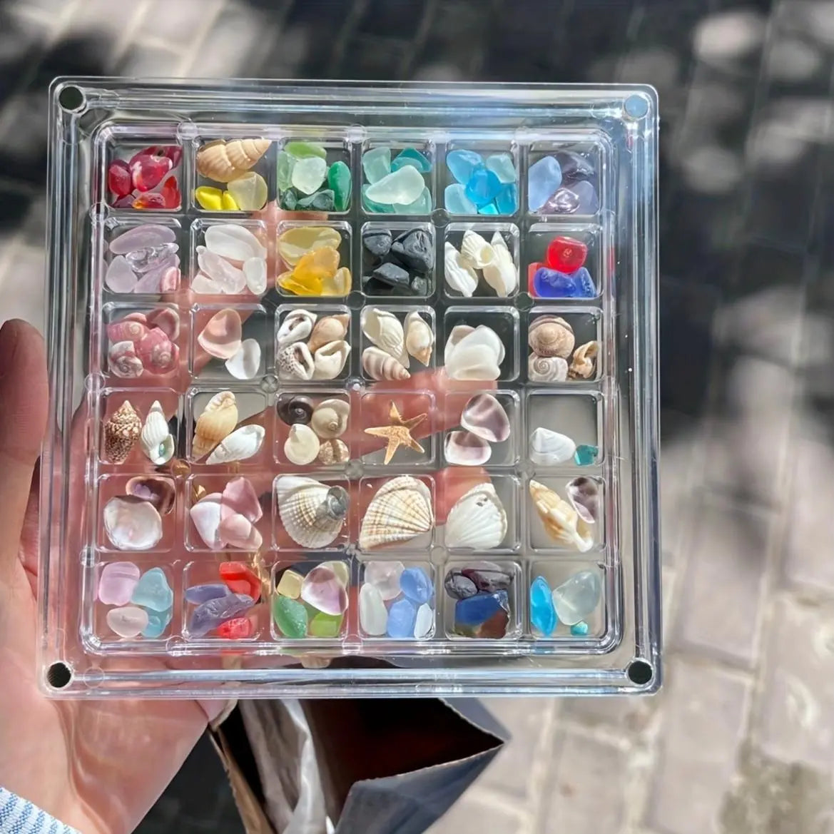 36-Grid Clear Shell Acrylic Display Box, Magnetic Transparent Storage Box for Shells, Home Decor, Gift for Collectors, Multi-Grid Organizer