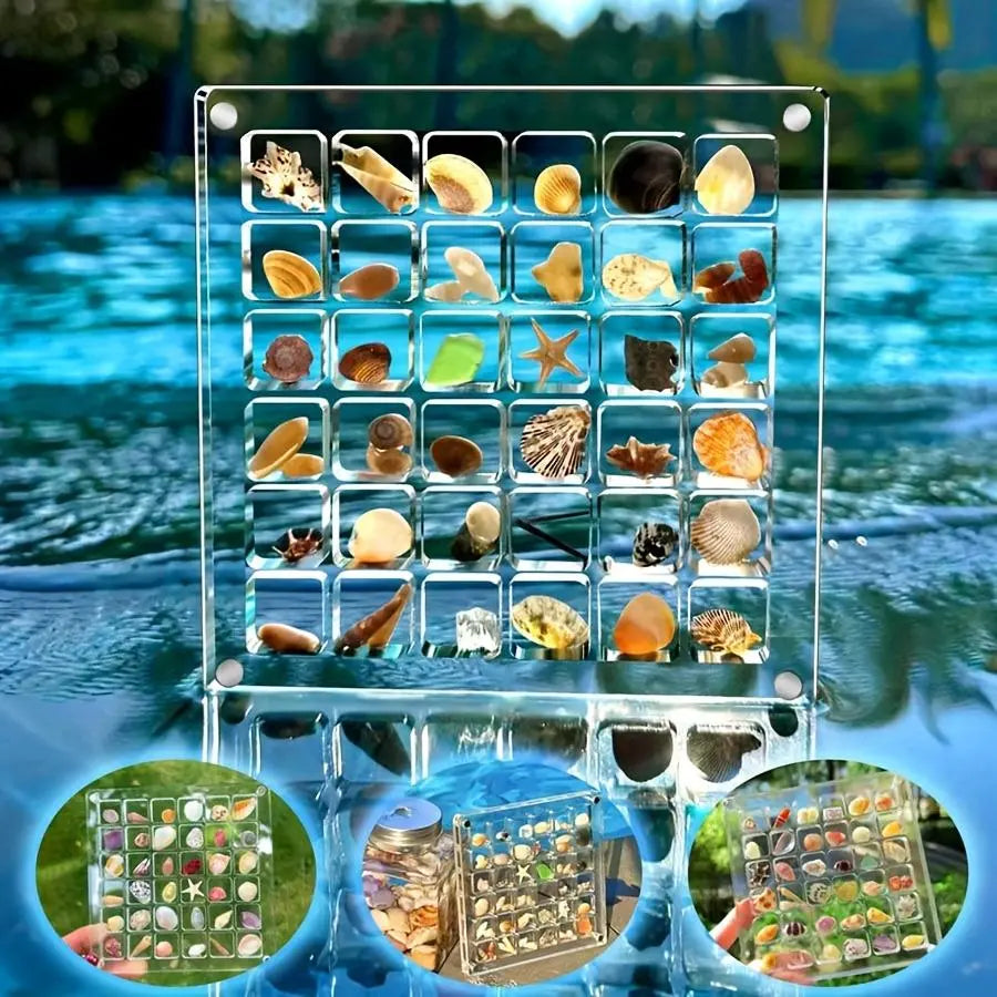 36-Grid Clear Shell Acrylic Display Box, Magnetic Transparent Storage Box for Shells, Home Decor, Gift for Collectors, Multi-Grid Organizer