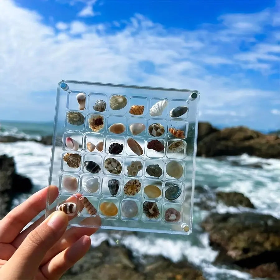 36-Grid Clear Shell Acrylic Display Box, Magnetic Transparent Storage Box for Shells, Home Decor, Gift for Collectors, Multi-Grid Organizer