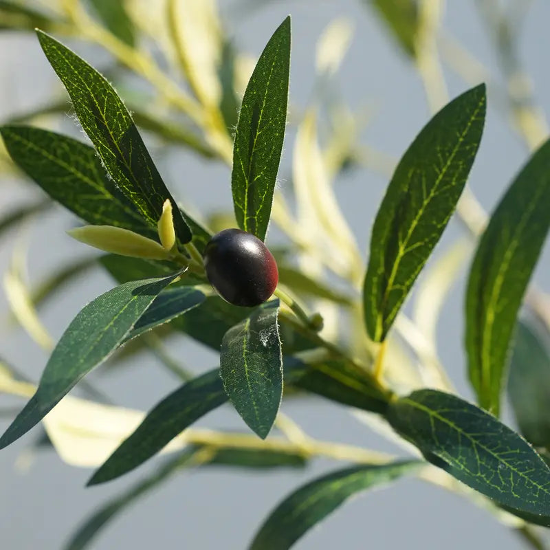 VeriNatural 5/6FT Artificial Olive Tree UV Resistant with White Taper Planter for Indoor & Outdoor（VN137）【SummerVibes】